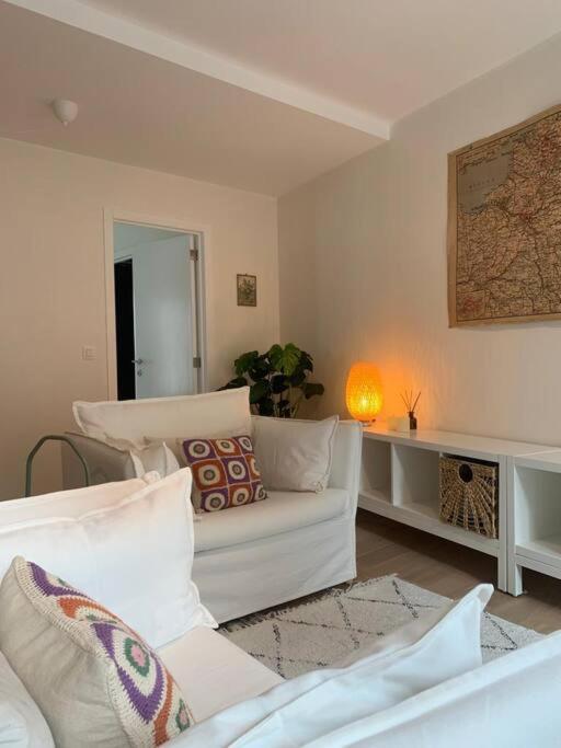 Cozy Studio In Centre Of Old Town Antwerpen Buitenkant foto